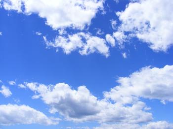 Positionspapier der Landesinitiative veröffentlicht
